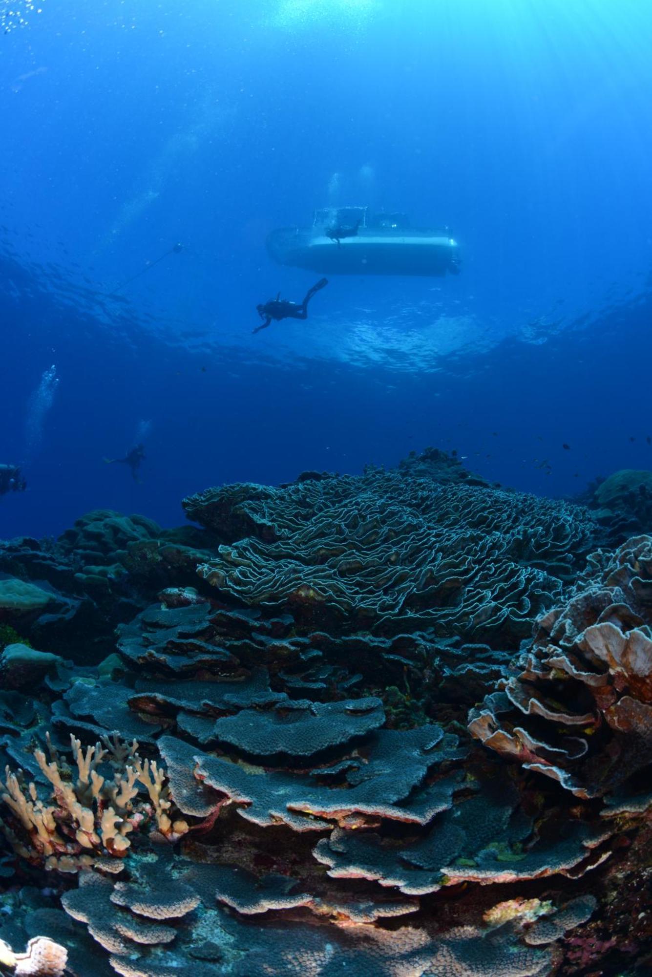 Island Hopper Hotel Yepan Bagian luar foto